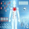 1. Blood Biomarkers for Health & Performance Certification 1. Blood Biomarkers for Health & Performance Certification
